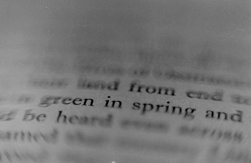 8082030670_255734e0bc