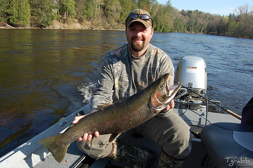 2626749848_017cc65a8a