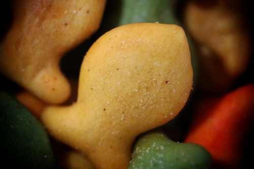 13938793988_0e69d62831