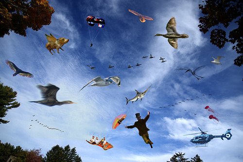 30799328490_7a5353645d