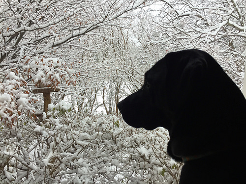 30645145634_4fb672e9c4