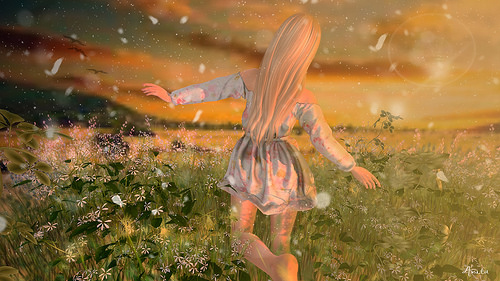 34580066455_dd7b7bdb57