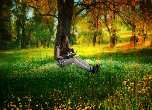 22631101886_b4bd8e4b16