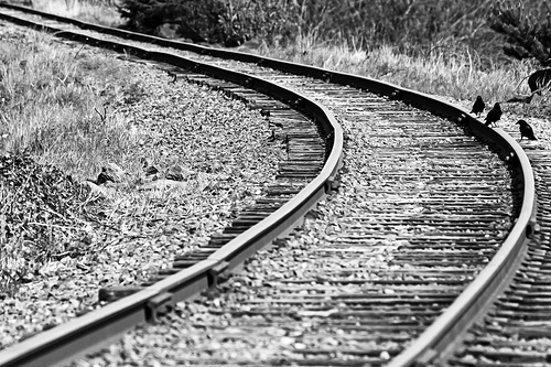 4811366714_039d7c4d34