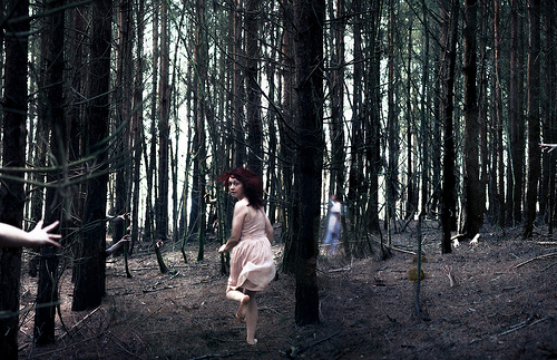 8650390712_2739f9ee37