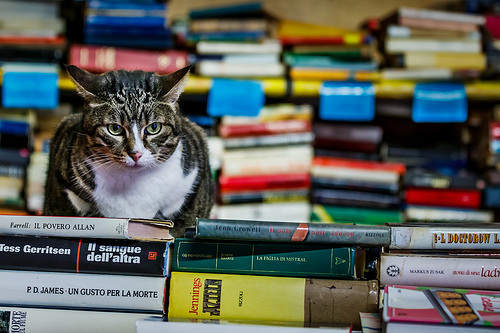 26013870567_c9fa1a66b2