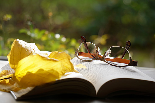 38676240312_6d502dfd11