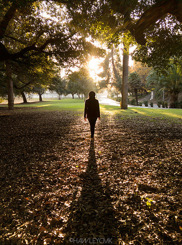 15587746244_302607e44e