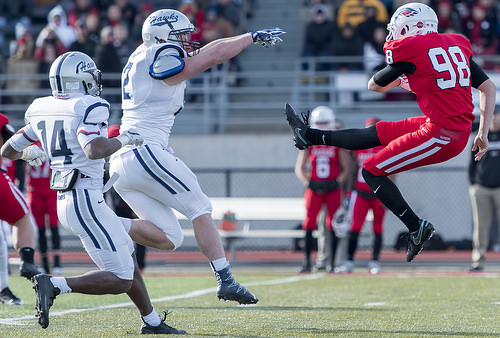 38510557971_2d853a6d53