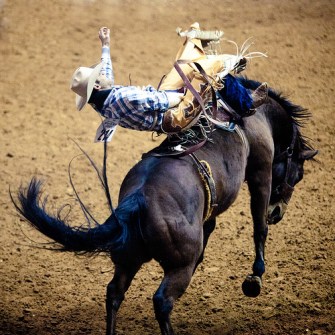 6342532860_c45277b707