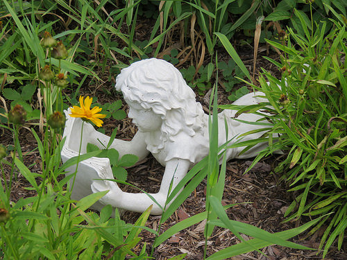 35820040573_8d5104df69