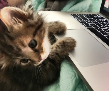 35294772960_969c158110