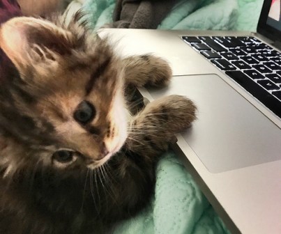 35294772960_969c158110