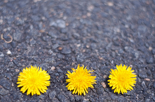 4601667285_100b998b59