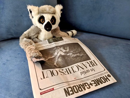 48272913432_874dde9cb2