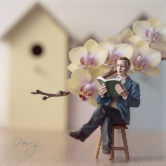 27476416188_0bbfe5ed49