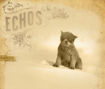 3411993959_0574b3144a