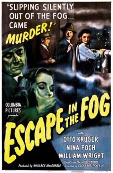 48189577647_23db3f7163