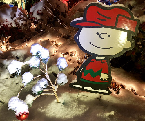 25078605678_0df8c8edd0