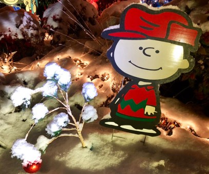 25078605678_0df8c8edd0